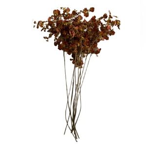 (10) tall sprigs.of faux red/orange flowers